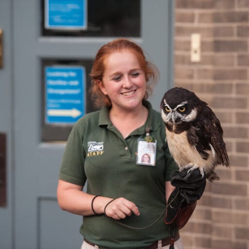 Meet Our Animals – Philadelphia Zoo