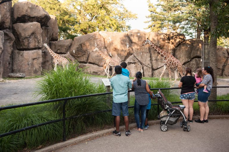 African Plains – Philadelphia Zoo