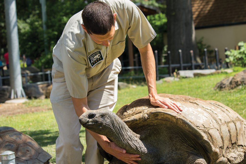 can you feed animals at the philadelphia zoo