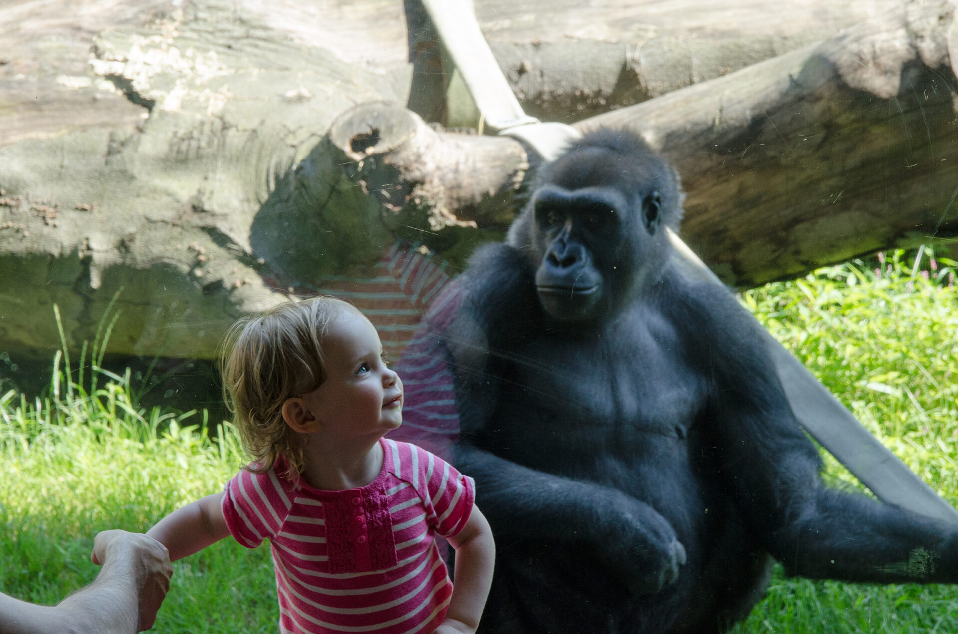 philadelphia zoo bring food