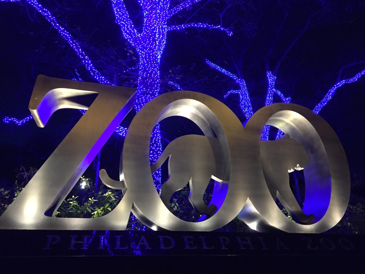 Events at the Zoo Lighting Up the Zoo Philadelphia Zoo