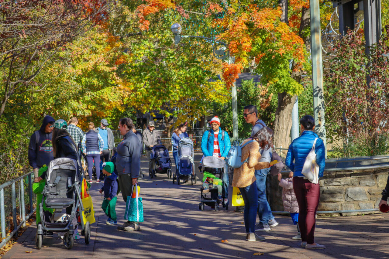 Philadelphia Zoo's Annual Halloween Extravaganza Boo at the Zoo returns