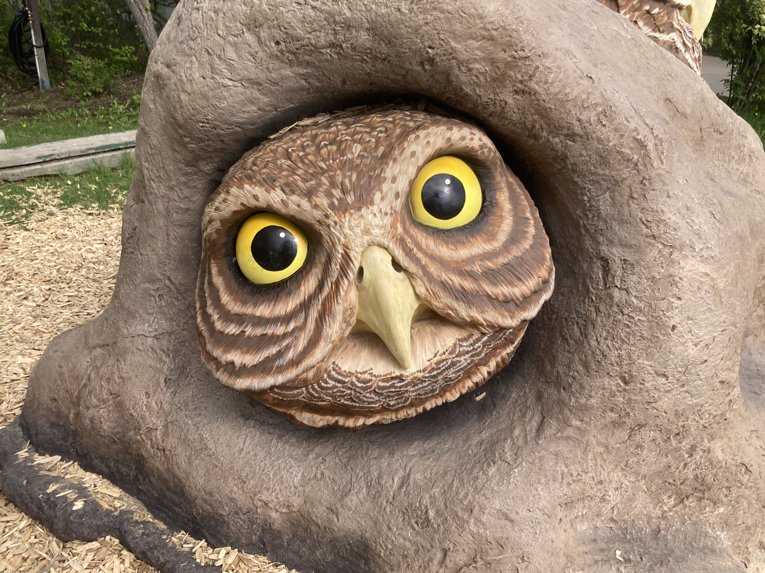 A photo of a burrowing owl, one of the Wildlife Rescue climbable statues available at Philadelphia Zoo.